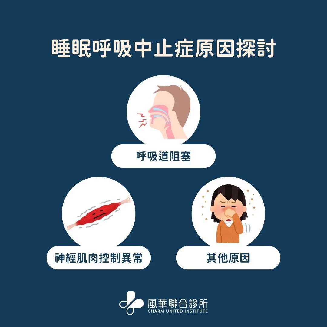 睡眠呼吸中止症原因探討