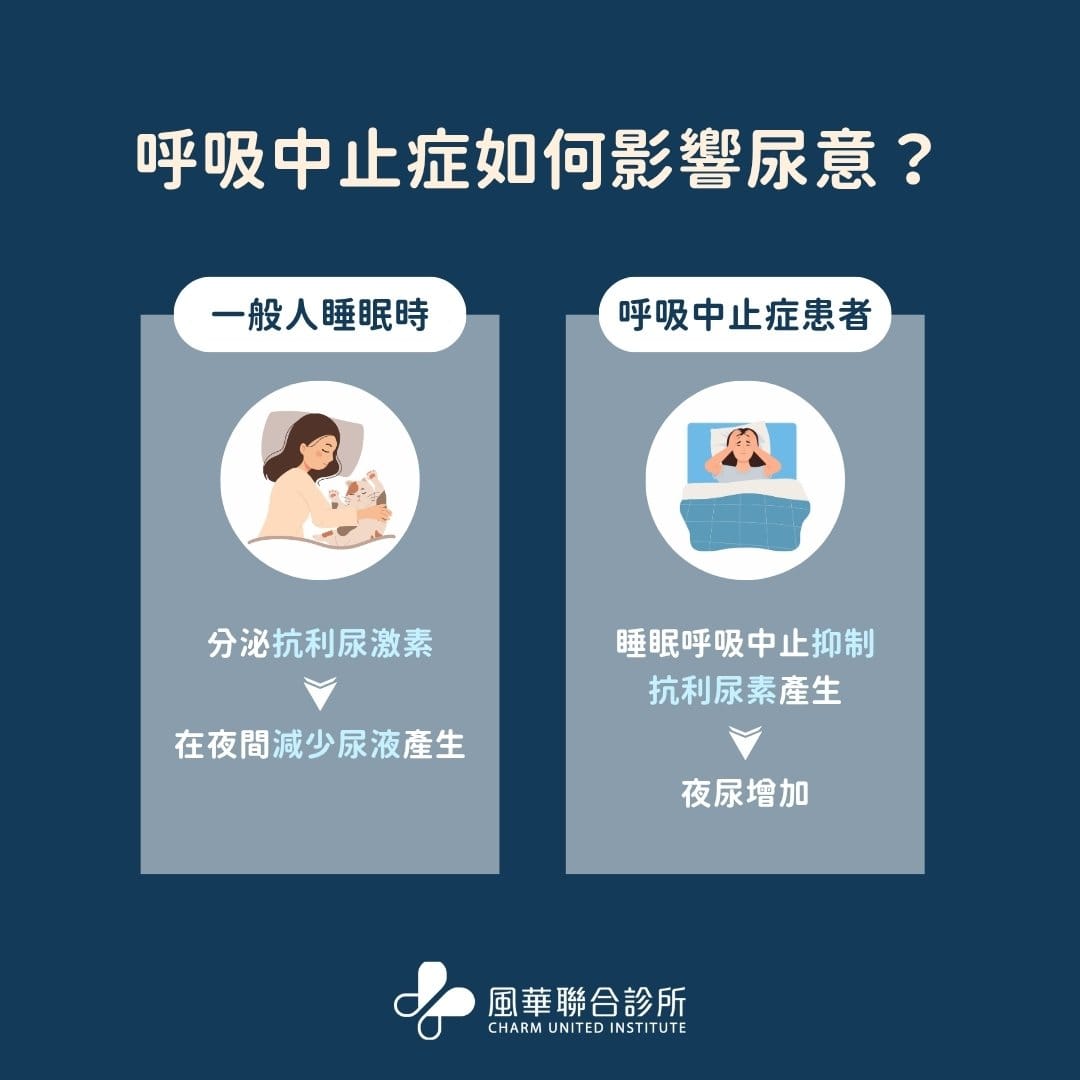呼吸中止症如何影響尿液